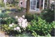 tuin3